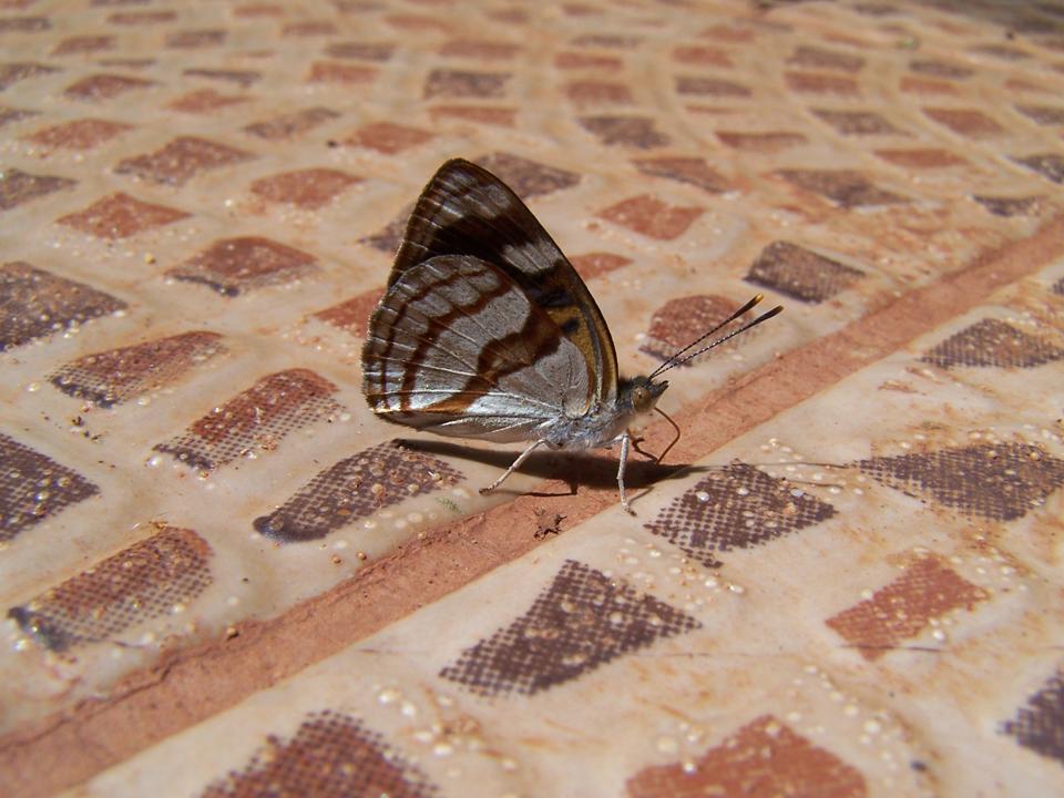 FIGURE 3 FIGURE 3